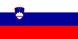 Nacionalais karogs, Slovēnija