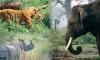 nepal tour, trekking in nepal, everest trekking, rafting, wildlife
