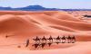 Casablanca Tours