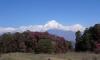 Ghorepani Poon Hill Trekking